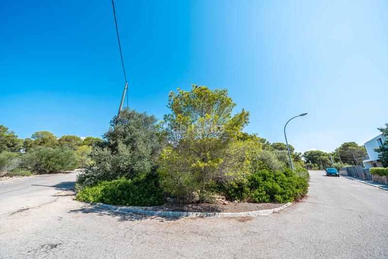 Foto 0e9f756d-d1aa-4bd9-a6c1-b4c707a5b257. Finca rústica a Cala Pi-Vallgornera Llucmajor