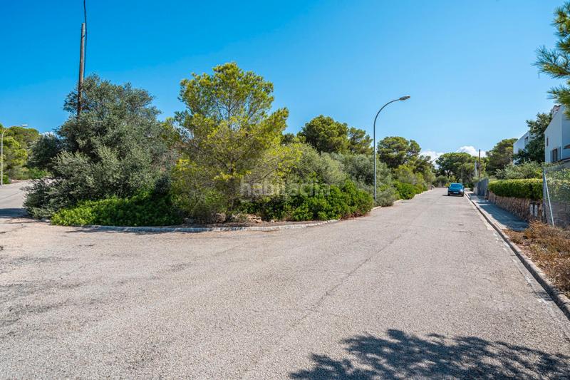 Foto 15bfa479-fc75-4978-b1c2-a738c948f821. Finca rústica a Cala Pi-Vallgornera Llucmajor