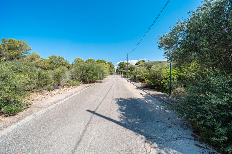 Foto 5cab35be-4721-4e45-af1d-f2867a1ab03d. Finca rústica a Cala Pi-Vallgornera Llucmajor
