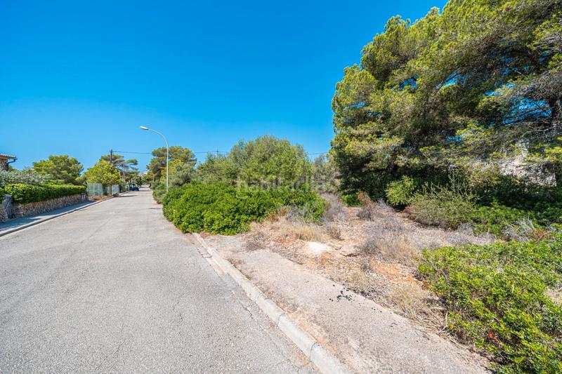 Foto f907f8fb-bb72-4a8a-9a45-cafd4e15ed8f. Finca rústica a Cala Pi-Vallgornera Llucmajor