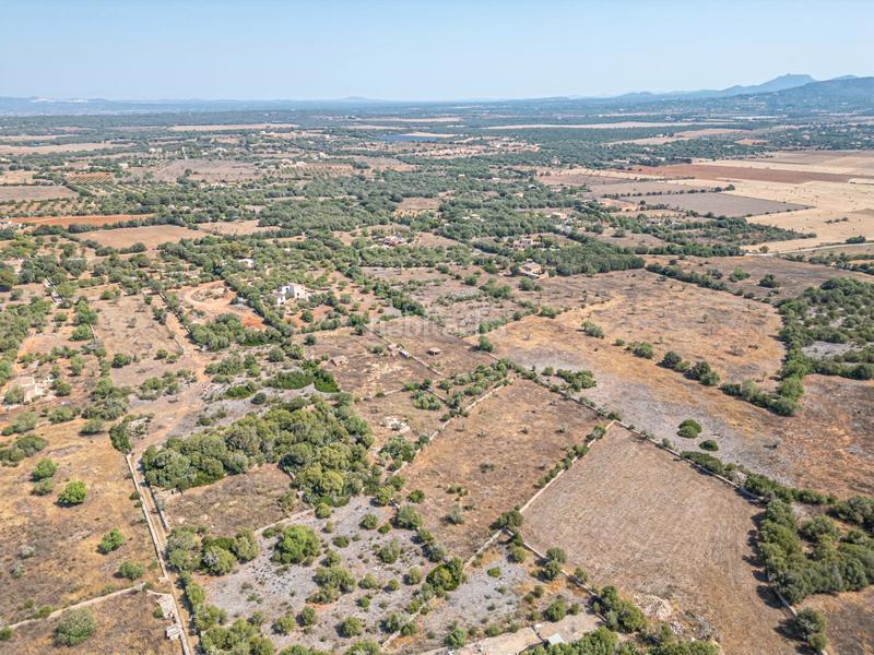 Foto 2cb85122-0a32-4975-bd5f-e672de0d5685. Chalet finca con chalet en construcción en Santanyí poble Santanyí