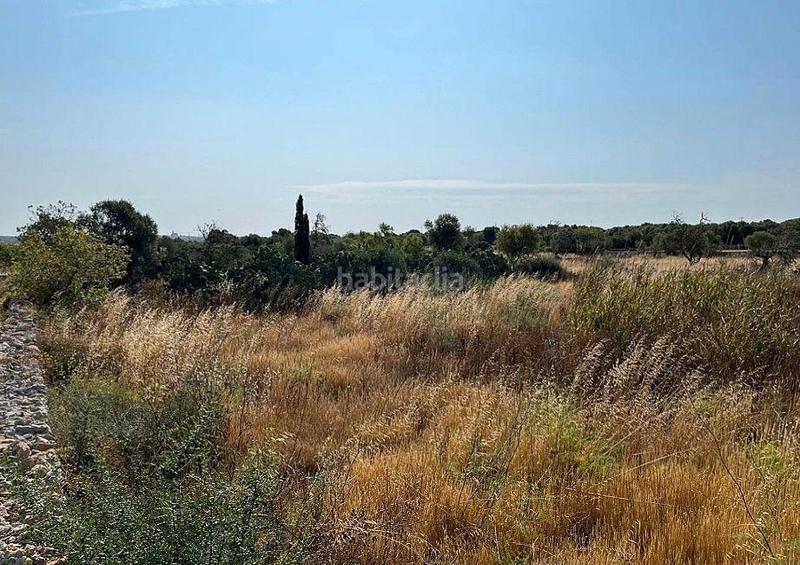 Foto b200b026-1670-48fa-a5e1-0648f9510c82. Chalet finca con chalet en construcción en Santanyí poble Santanyí