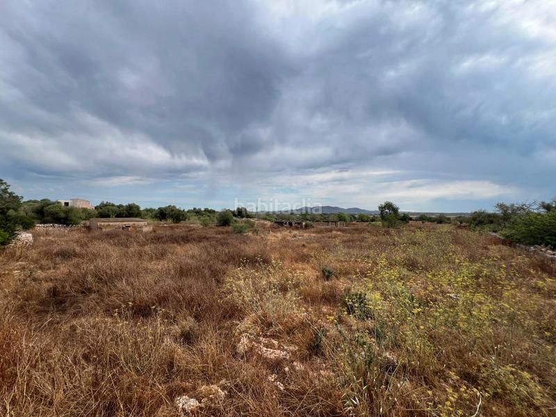 Foto b30cd654-3044-41dd-ac86-dc15f277d28b. Chalet finca con chalet en construcción en Santanyí poble Santanyí