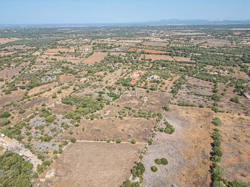 Foto c98a6432-ff40-459a-9bf9-039b784d4929. Chalet finca con chalet en construcción en Santanyí poble Santanyí