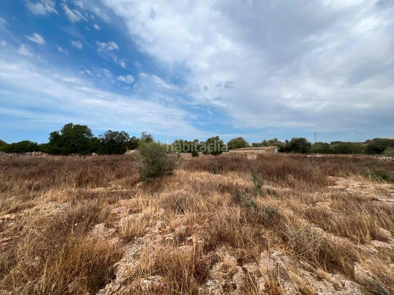 Foto dcee6d62-b735-417a-886b-ea0d2b658496. Chalet finca con chalet en construcción en Santanyí poble Santanyí
