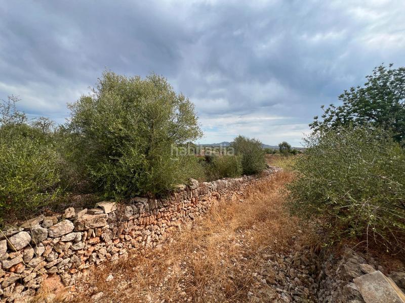 Foto e9c0e356-e33e-4f99-8296-25fc19827974. Chalet finca con chalet en construcción en Santanyí poble Santanyí