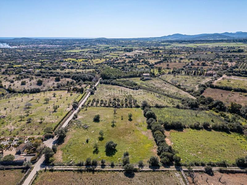 Foto 0cedc7cd-7e2c-4677-a7f3-1b940c5a3cc6. Finca rústica a Sant Llorenç des Cardassar