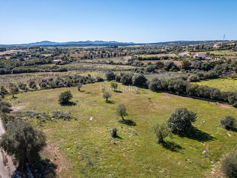 Foto 0f080b31-8eec-411c-9ddf-5359faedfd52. Finca rústica a Sant Llorenç des Cardassar