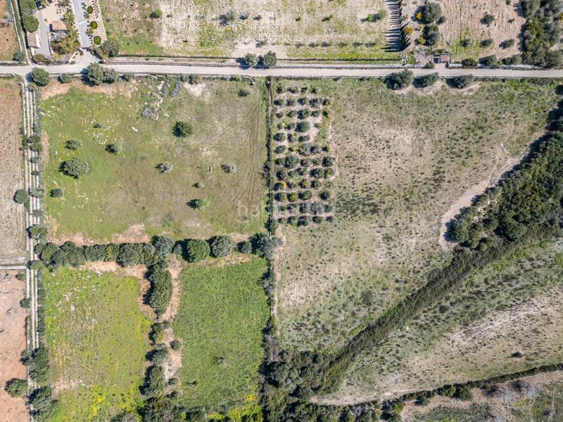 Foto 2593dc7e-9fda-4aea-ac78-1142023e5cb7. Finca rústica a Sant Llorenç des Cardassar