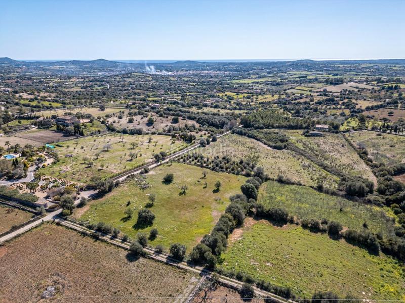 Foto e885502a-7296-44f7-b998-327469defdd0. Finca rústica a Sant Llorenç des Cardassar