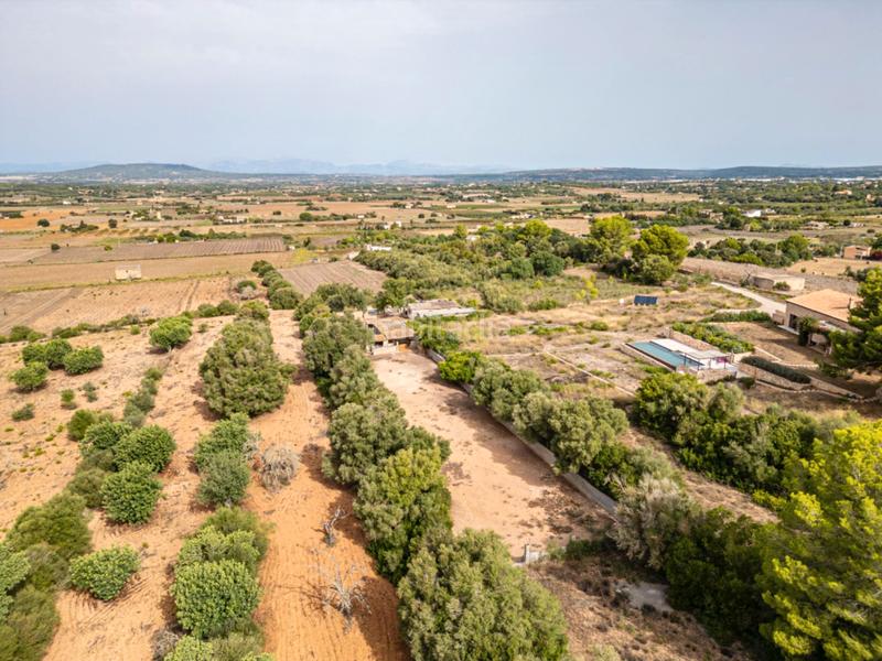 Foto 4d39862f-5ac1-4b51-bf63-29b5ac0b3610. Casale in Manacor centre Manacor