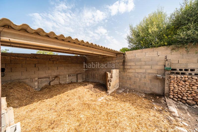 Foto dfb650e3-c538-4a14-9307-658258f4a245. Casale in Manacor centre Manacor