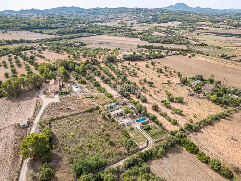 Foto e2a78a8d-decf-469a-9033-18d579fcf468. Casale in Manacor centre Manacor