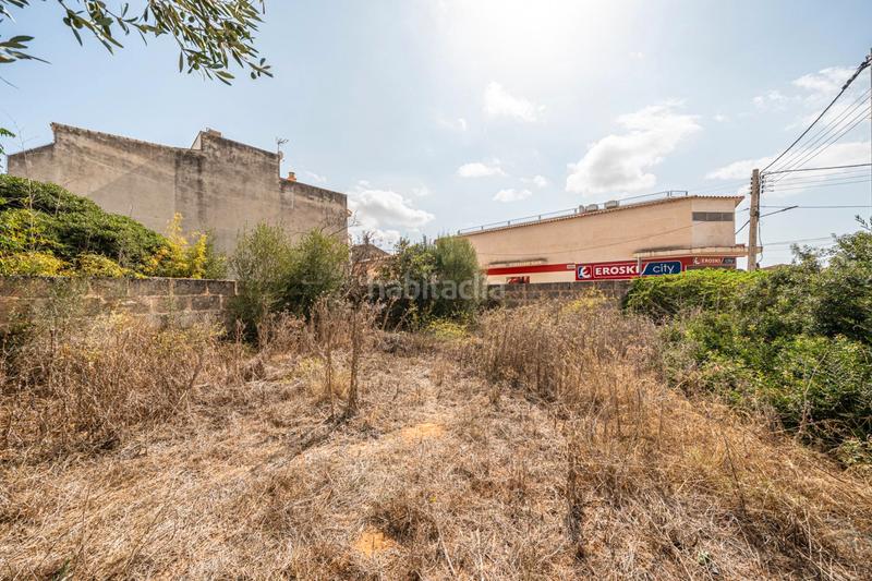 Foto 98f4bbfe-527a-456b-8514-e77334223868. Finca rústica a Ses Salines poble Ses Salines