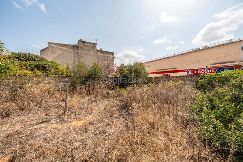 Foto a6eadb61-4585-4d2b-8599-27f14858571d. Finca rústica a Ses Salines poble Ses Salines