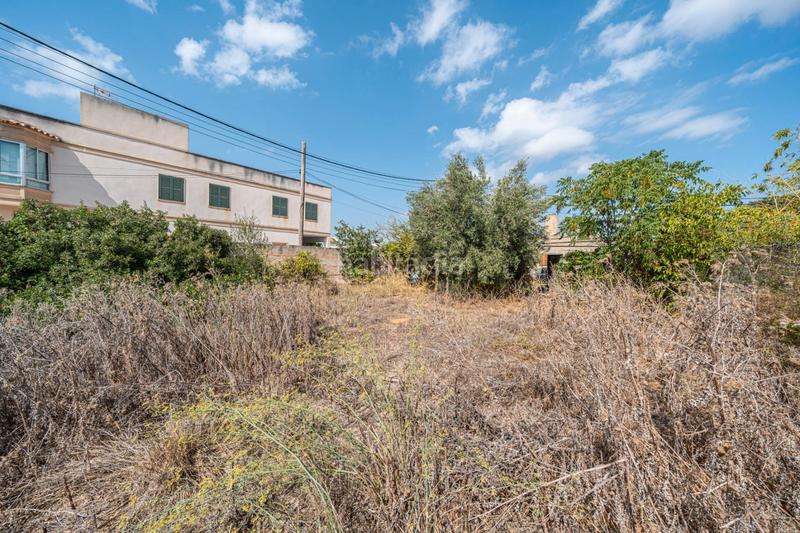 Foto aad7ec2b-042d-46a4-a6c3-87b9628f728c. Finca rústica a Ses Salines poble Ses Salines