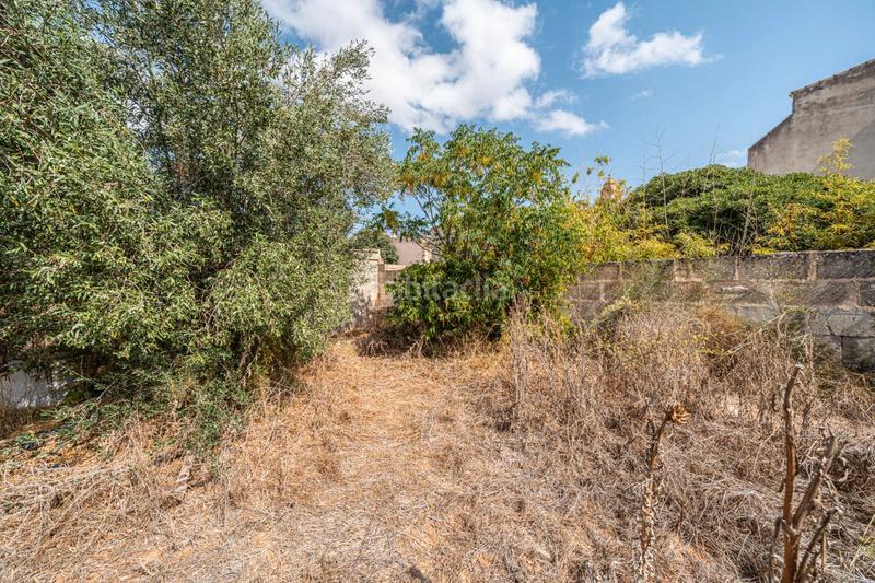 Foto b4aeb93c-2a1e-4ec6-aa8c-48522f26457d. Finca rústica a Ses Salines poble Ses Salines