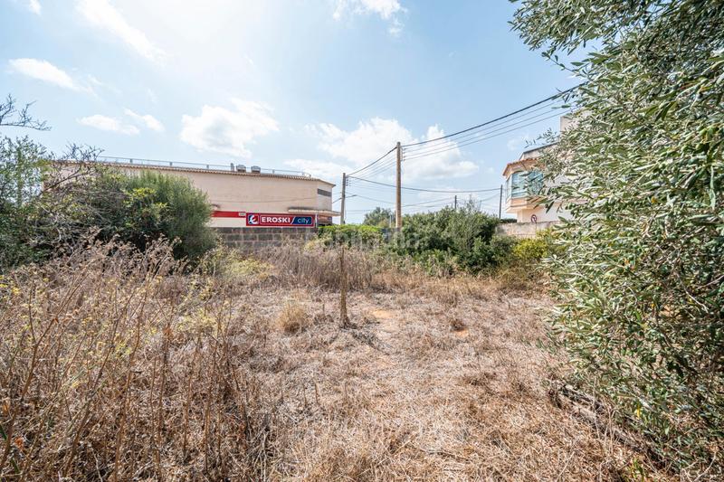 Foto cd18e01c-2936-41d7-b9bd-e145892100f2. Finca rústica a Ses Salines poble Ses Salines