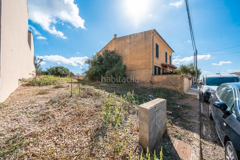 Foto 03feeb35-08a4-4fdc-85c0-d8e833a36b2d. Fondo rustico in Vilafranca de Bonany