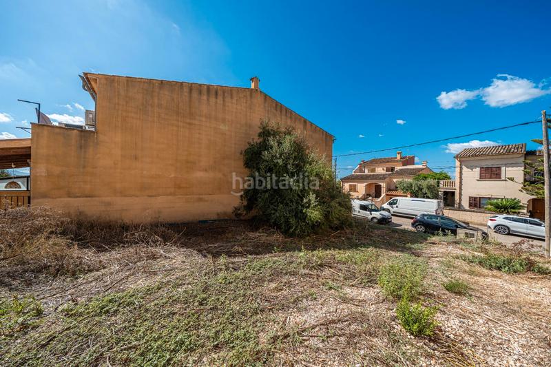 Foto 570e97a3-bedb-4c4b-b9aa-cfeea08675cc. Fondo rustico in Vilafranca de Bonany