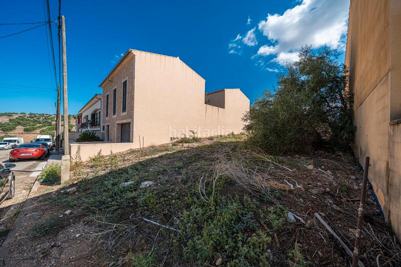 Foto 7df80e8a-f7d0-4ebb-98af-35dc49509235. Fondo rustico in Vilafranca de Bonany