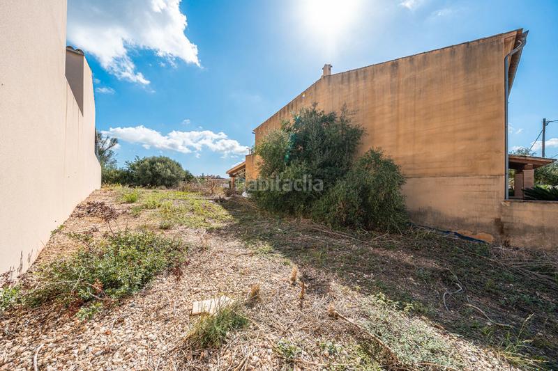 Foto e1eb9a1e-5806-4a1f-8c2e-50f0956461f9. Fondo rustico in Vilafranca de Bonany