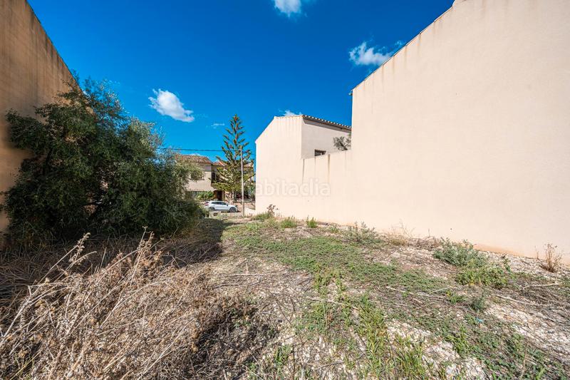 Foto f2c5ebfb-47b2-492e-a830-c3538f4fb25b. Fondo rustico in Vilafranca de Bonany