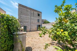 Edifici a Vilafranca de Bonany. Buc con solar en venta en vilafranca de bonany