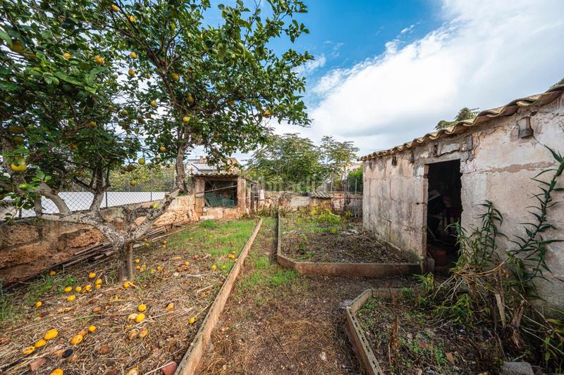 Foto 343e6ed3-bafc-4857-ab9f-641c03ff4d90. Casa  de pueblo con patio en Felanitx poble Felanitx