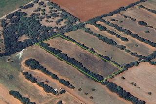Landgut in Felanitx Poble. Finca rústica en son valls, felanitx – 7.700 m² de naturaleza y