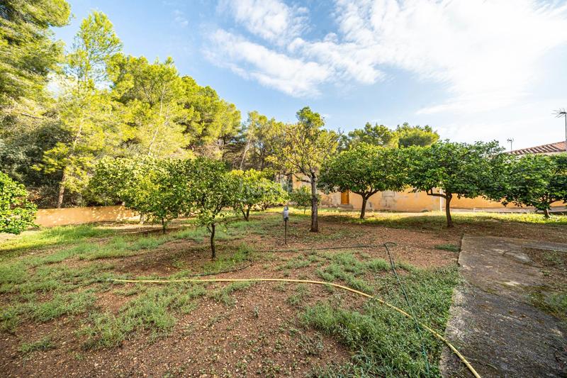 Foto 8ae742d6-8194-4a40-870c-09097de3f2f9. Chalet in Costa de la Calma Calvià