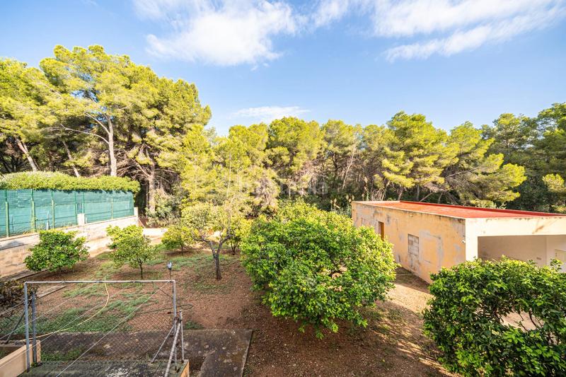 Foto 92428345-4162-43dd-b4d1-f195926baefe. Chalet in Costa de la Calma Calvià