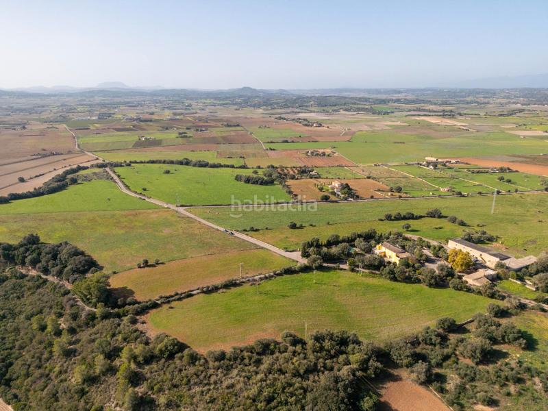 Foto 098f2cd3-4fe6-45d4-8932-c80a852438a2. Terrain résidentiel dans carrer lladó 30 dans Ariany