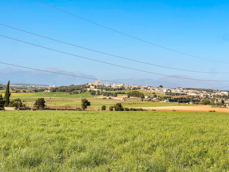 Foto 0eb4cf6e-15f5-43c5-a80a-51bf0a411e13. Terrain résidentiel dans carrer lladó 30 dans Ariany