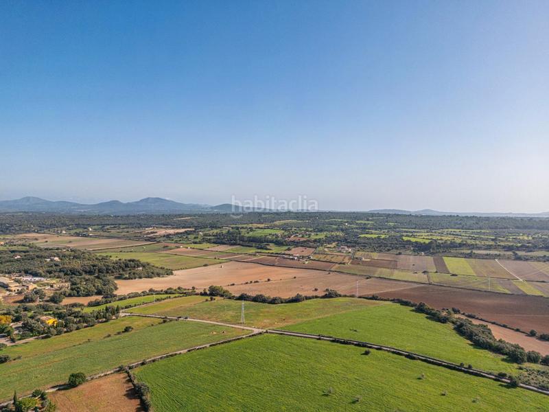 Foto 1cb09319-93e7-4709-90ad-276d9d0e3f5e. Terrain résidentiel dans carrer lladó 30 dans Ariany