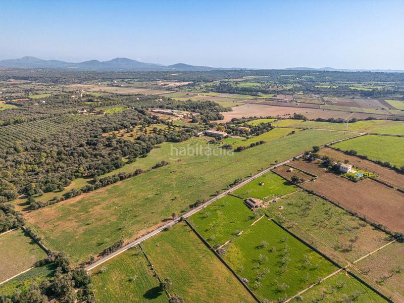 Foto 2b73ed81-368e-4115-b012-08c026b70b5d. Terrain résidentiel dans carrer lladó 30 dans Ariany
