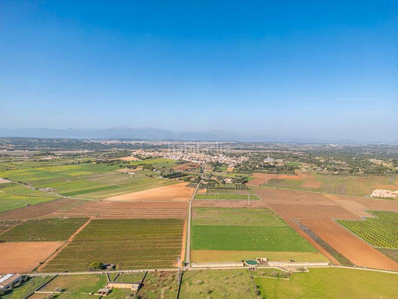 Foto 5c9c01e1-1464-4046-8f51-2bf9d4c97e99. Terrain résidentiel dans carrer lladó 30 dans Ariany