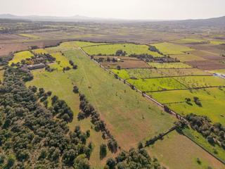 Terreno residencial en Carrer lladó 30. Terreno urbanizable en ariany de 50.000m²