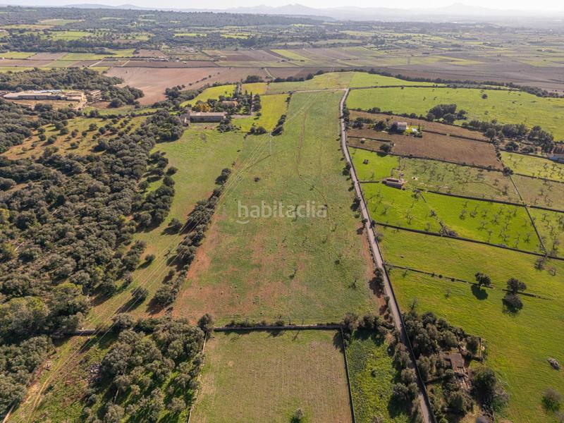 Foto 770960d3-c20b-470b-8b7b-85f18d4ad6a2. Terrain résidentiel dans carrer lladó 30 dans Ariany