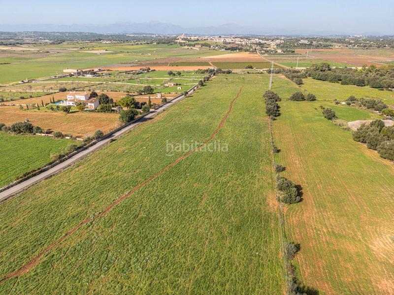 Foto 7781e9e4-7f7f-43d4-a0f4-9c718c541526. Terrain résidentiel dans carrer lladó 30 dans Ariany