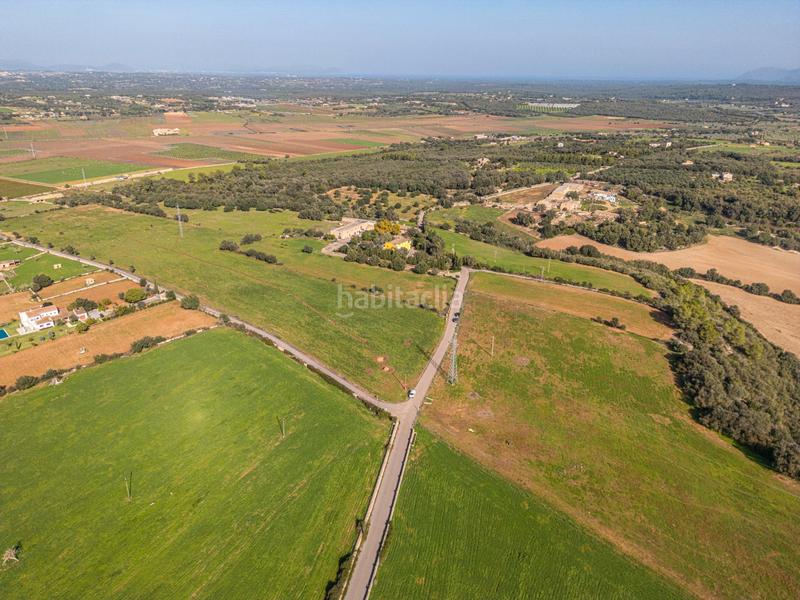 Foto 85a685ab-976a-430e-954a-faf7157b8415. Terrain résidentiel dans carrer lladó 30 dans Ariany