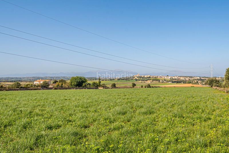 Foto 9dd2515b-def5-4ee2-9d26-56c3810dbac3. Terrain résidentiel dans carrer lladó 30 dans Ariany
