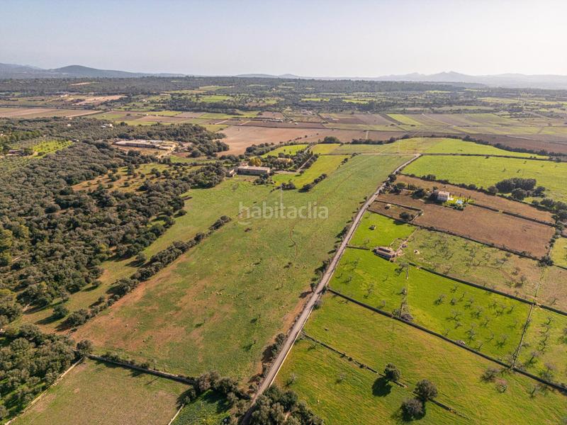 Foto b8f58ca9-0d0d-473e-92ee-1f6bf98d058e. Terrain résidentiel dans carrer lladó 30 dans Ariany