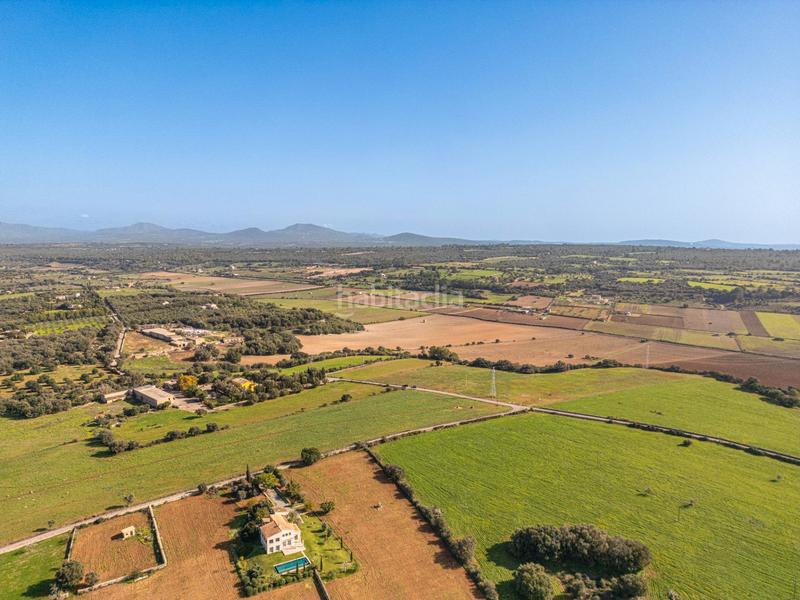 Foto db5f1652-8fdb-42fe-951d-96d3fca3ec9d. Terrain résidentiel dans carrer lladó 30 dans Ariany