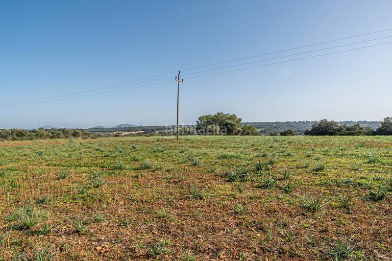 Foto eb4d8ff4-2610-481e-bf73-42c44117f973. Terrain résidentiel dans carrer lladó 30 dans Ariany