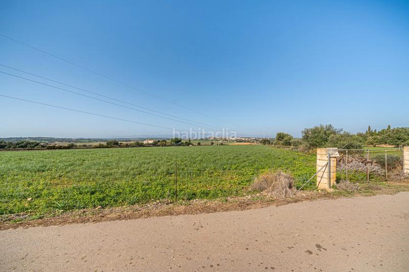 Foto ed087b30-d5a0-4212-ad56-7494f42bc4a5. Terrain résidentiel dans carrer lladó 30 dans Ariany