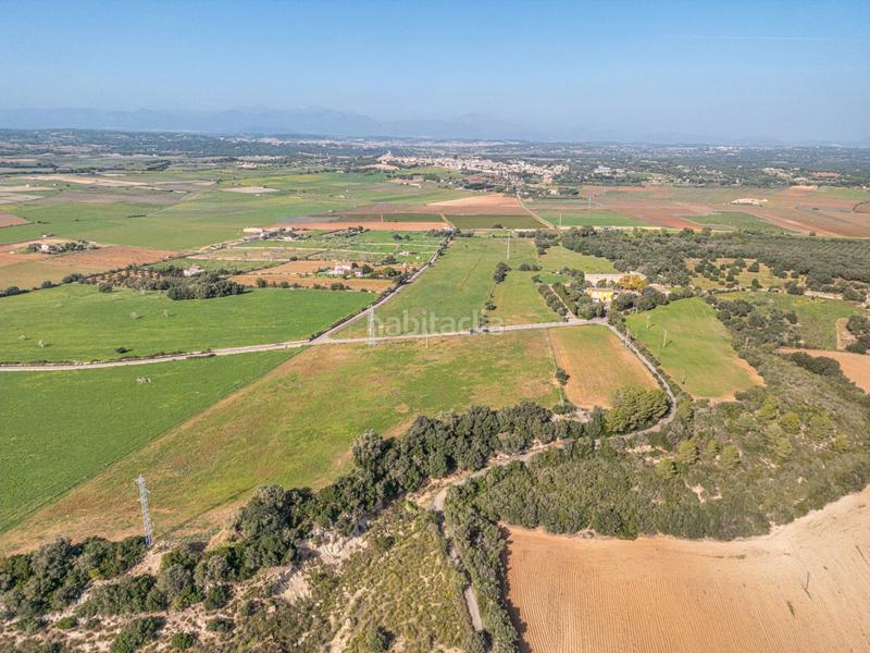 Foto fdb197e2-f3ef-4f34-81e5-8069bb1010a3. Terrain résidentiel dans carrer lladó 30 dans Ariany