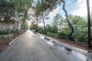 Finca rústica en Colònia de Sant Pere. Solar colonia de sant pere con entorno de interés y oportunidad