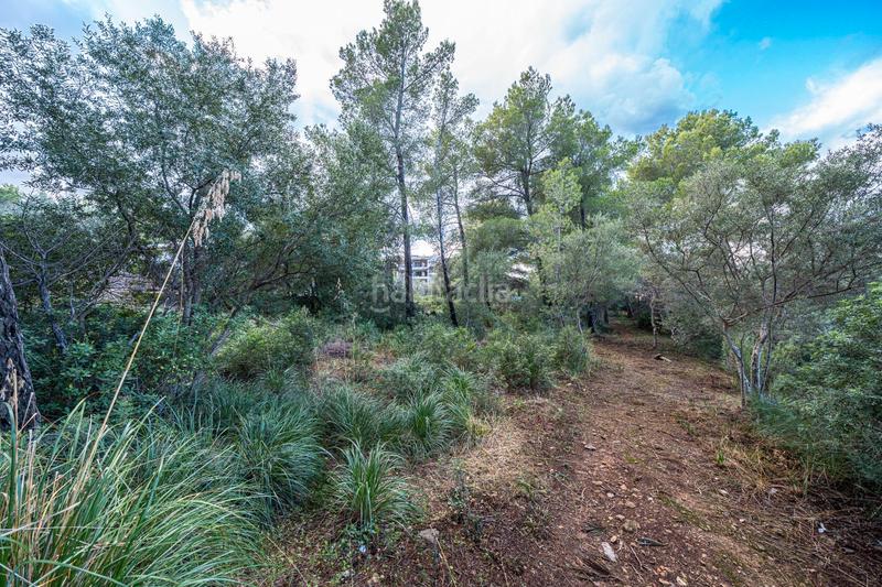 Foto 31f16b76-d86a-41bf-8a56-cb8c25261c45. Finca rústica a Colònia de Sant Pere Artà