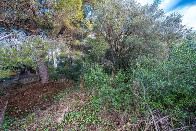 Foto 3220dcaa-20fc-4e7a-9ddf-a25a7fc2d4d6. Finca rústica a Colònia de Sant Pere Artà